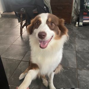 Meet your Posher, Ashlyn